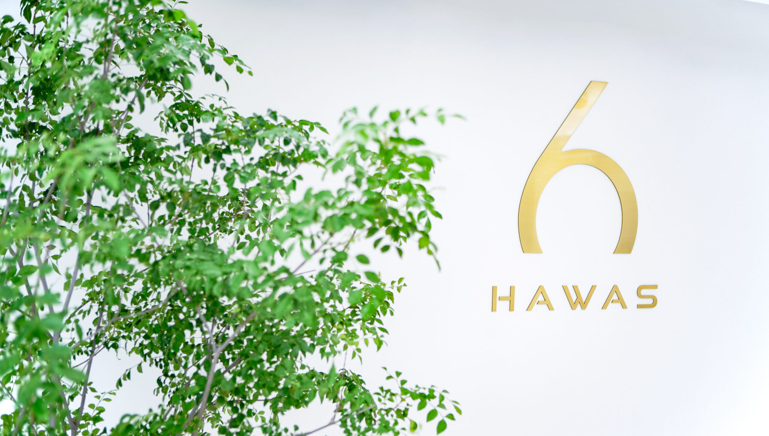 6HAWAS_studio